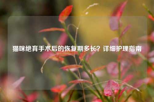 猫咪绝育手术后的恢复期多长？详细护理指南