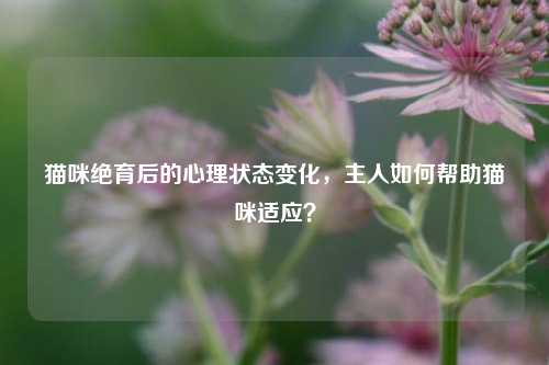 猫咪绝育后的心理状态变化，主人如何帮助猫咪适应？