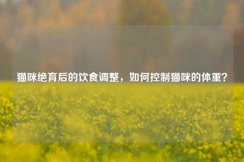 猫咪绝育后的饮食调整，如何控制猫咪的体重？