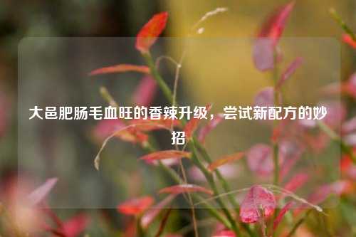 大邑肥肠毛血旺的香辣升级，尝试新配方的妙招