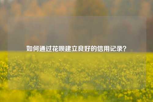 如何通过花呗建立良好的信用记录？