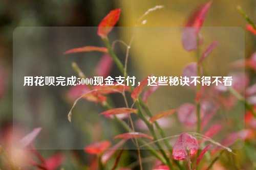 用花呗完成5000现金支付，这些秘诀不得不看