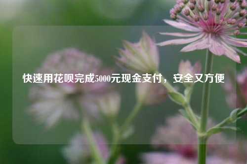 快速用花呗完成5000元现金支付，安全又方便
