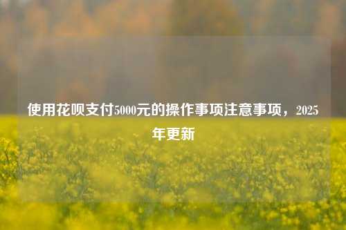 使用花呗支付5000元的操作事项注意事项，2025年更新