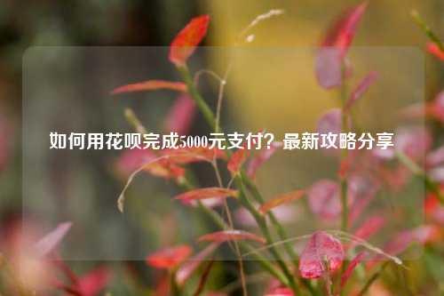 如何用花呗完成5000元支付？最新攻略分享