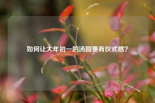 如何让大年初一的汤圆更有仪式感？