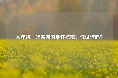 大年初一吃汤圆的最佳搭配，你试过吗？