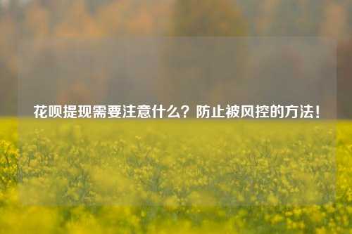 花呗提现需要注意什么？防止被风控的方法！