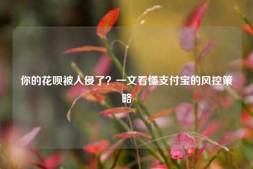 你的花呗被入侵了？一文看懂支付宝的风控策略