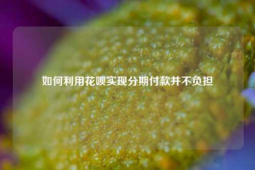 如何利用花呗实现分期付款并不负担
