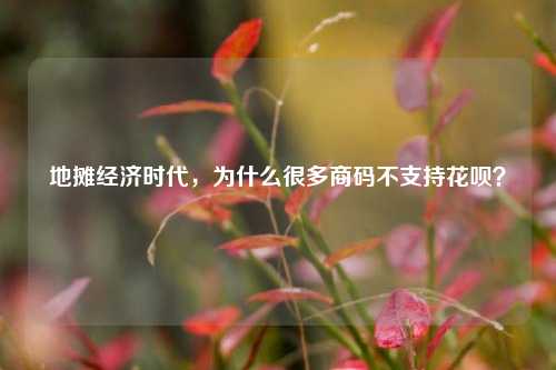 地摊经济时代，为什么很多商码不支持花呗？