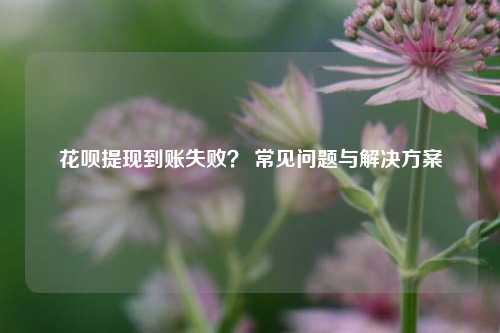花呗提现到账失败？ 常见问题与解决方案