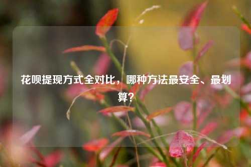 花呗提现方式全对比，哪种方法最安全、最划算？