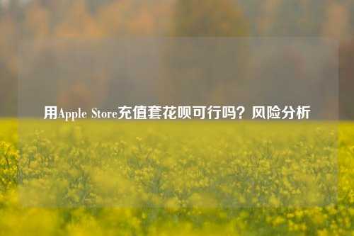 用Apple Store充值套花呗可行吗？风险分析
