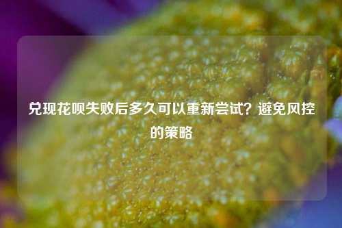 兑现花呗失败后多久可以重新尝试？避免风控的策略