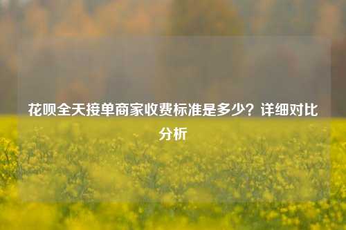 花呗全天接单商家收费标准是多少？详细对比分析