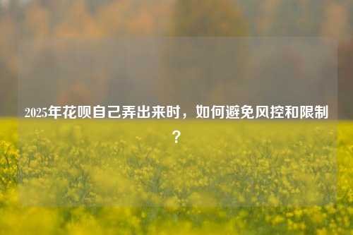 2025年花呗自己弄出来时，如何避免风控和限制？