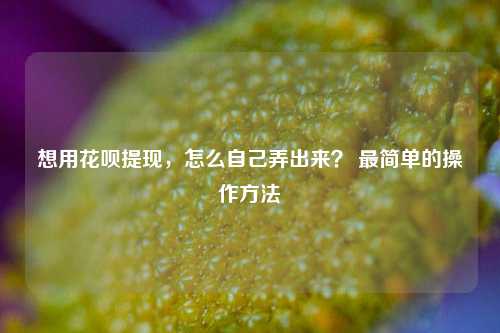 想用花呗提现，怎么自己弄出来？ 最简单的操作方法