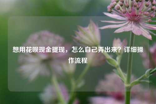 想用花呗现金提现，怎么自己弄出来？详细操作流程