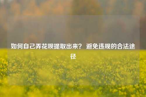 如何自己弄花呗提取出来？ 避免违规的合法途径