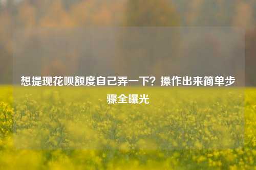想提现花呗额度自己弄一下？操作出来简单步骤全曝光
