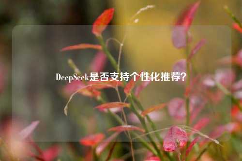 DeepSeek是否支持个性化推荐？