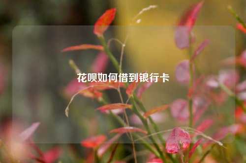 花呗如何借到银行卡
