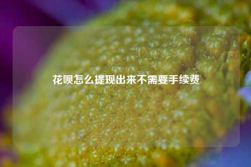 花呗怎么提现出来不需要手续费