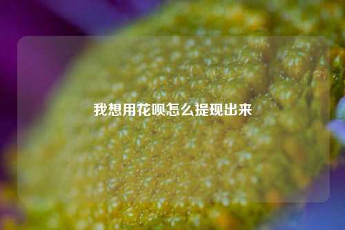我想用花呗怎么提现出来