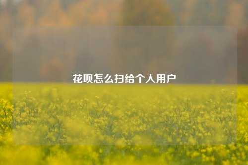 花呗怎么扫给个人用户