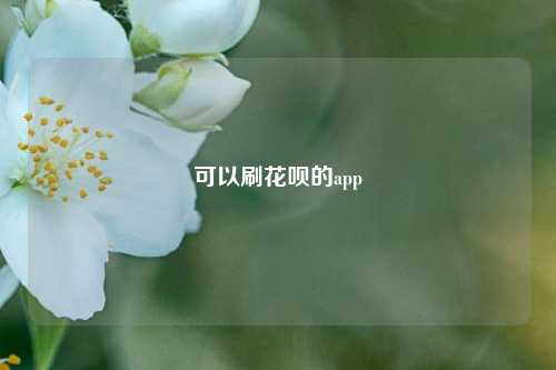 可以刷花呗的app