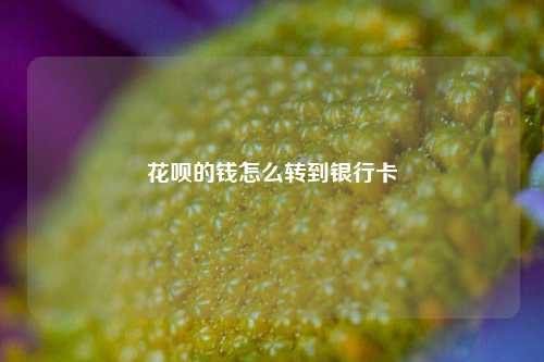 花呗的钱怎么转到银行卡