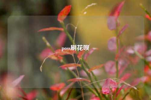 poss刷花呗