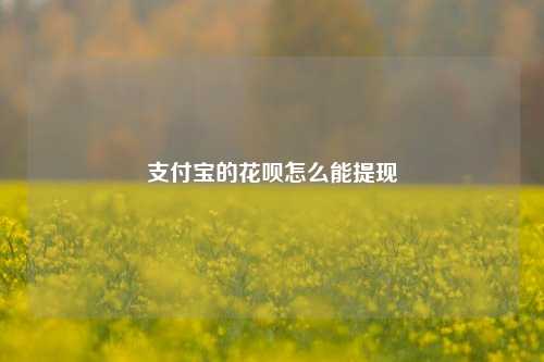 支付宝的花呗怎么能提现