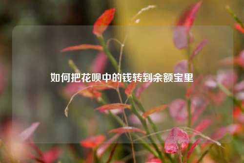 如何把花呗中的钱转到余额宝里