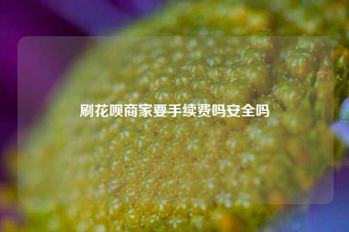 刷花呗商家要手续费吗安全吗