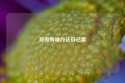 花呗有啥办法自己套