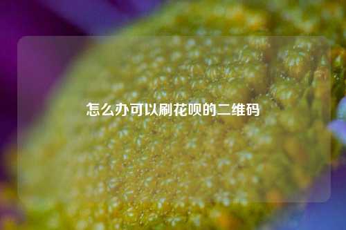 怎么办可以刷花呗的二维码