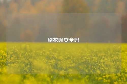 刷花呗安全吗