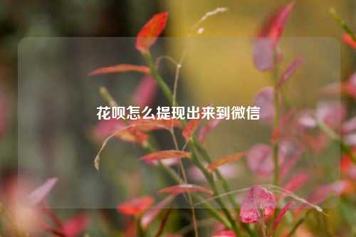 花呗怎么提现出来到微信