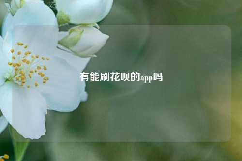 有能刷花呗的app吗