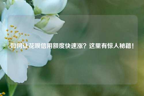 如何让花呗信用额度快速涨？这里有惊人秘籍！