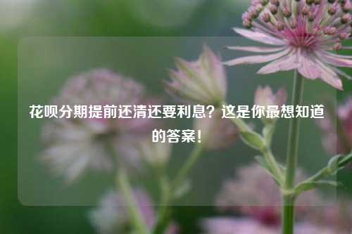 花呗分期提前还清还要利息？这是你最想知道的答案！