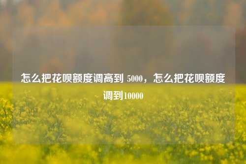 怎么把花呗额度调高到 5000,怎么把花呗额度调到10000