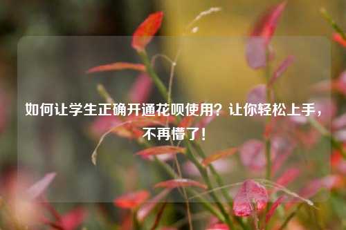 如何让学生正确开通花呗使用？让你轻松上手，不再懵了！