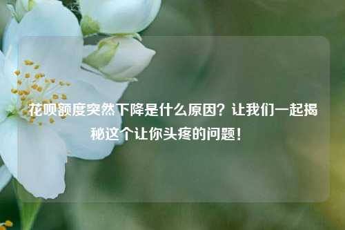花呗额度突然下降是什么原因？让我们一起揭秘这个让你头疼的问题！ 