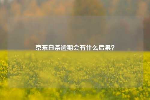 京东白条逾期会有什么后果？