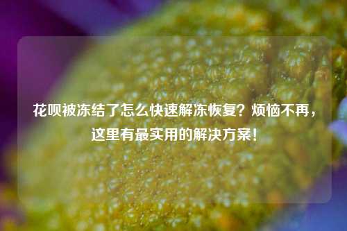 花呗被冻结了怎么快速解冻恢复?烦恼不再,这里有最实用的解决方案!