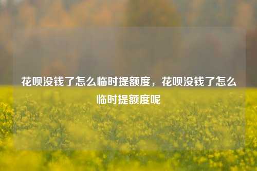 花呗没钱了怎么临时提额度，花呗没钱了怎么临时提额度呢
