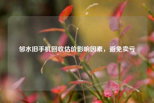邻水旧手机回收估价影响因素，避免卖亏